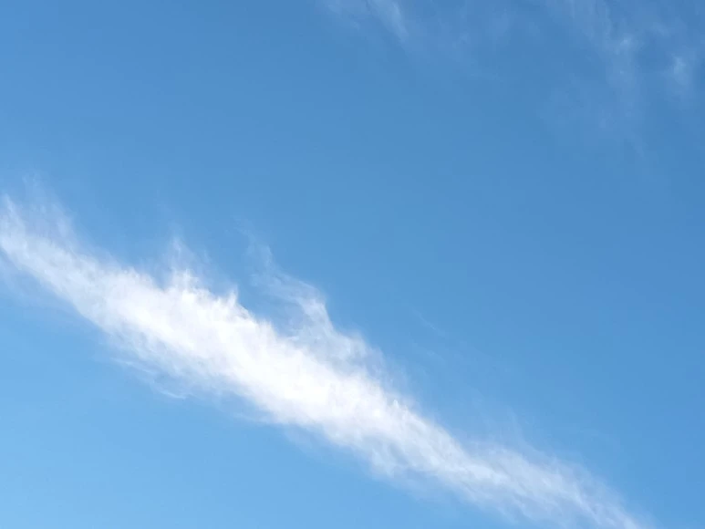 20220827_0619291.jpg?type=w773