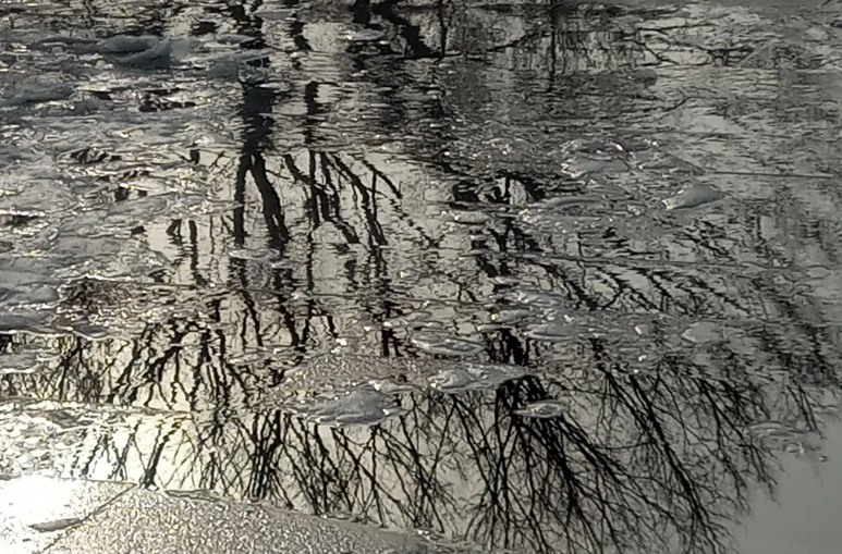 20210113_152953(1)1.jpg?type=w773