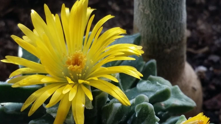 20191214_1412321.jpg?type=w773