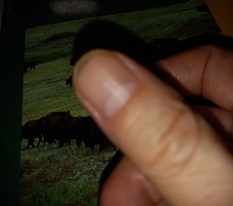 20220822_2154401.jpg?type=w773