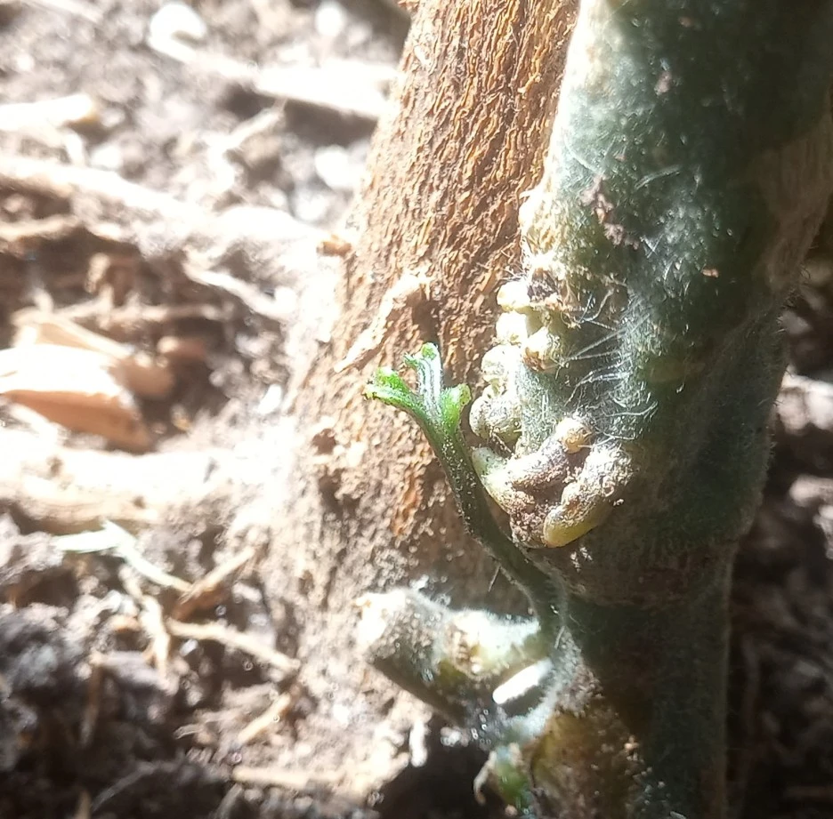 20220327_100839(1)1.jpg?type=w1