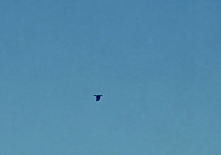 20201215_084120(3)1.jpg?type=w773