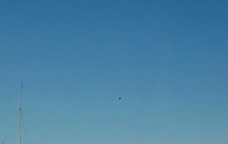 20201215_084120(1)1.jpg?type=w773