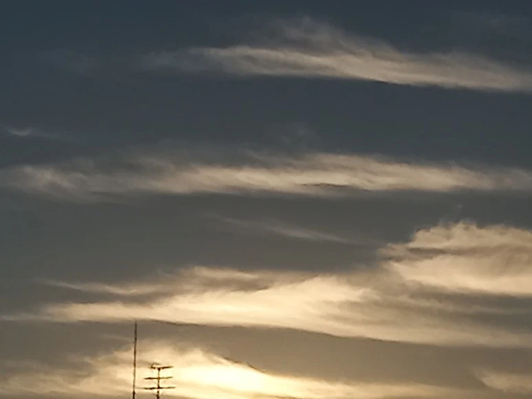 20220827_0624321.jpg?type=w773