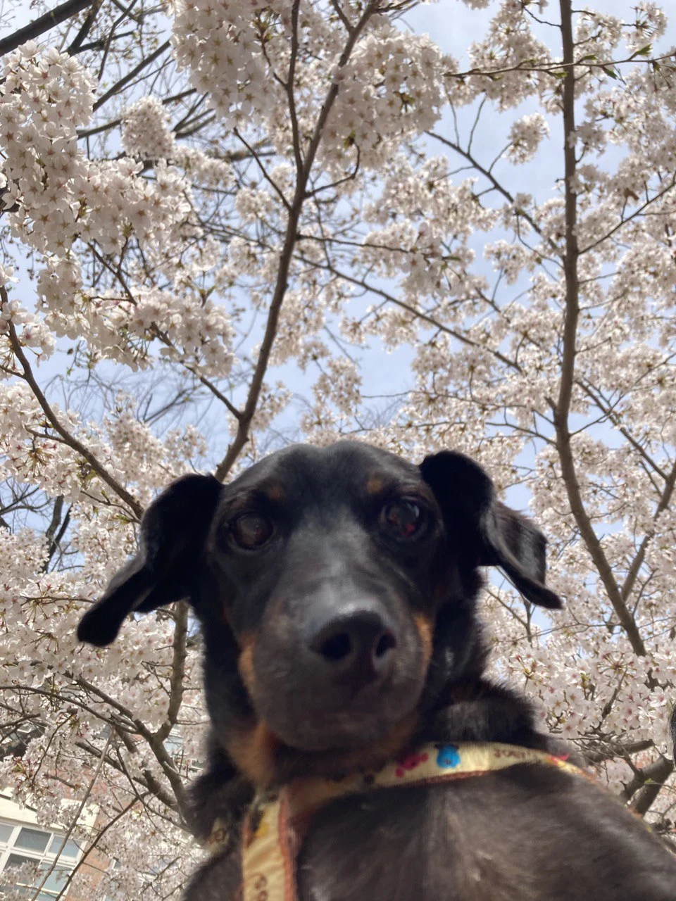 photo_2023-07-07 22.56.04.jpeg