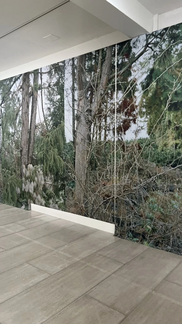 IMG_5701.jpg?type=w580