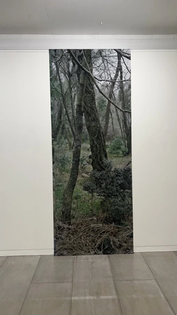 IMG_5702.jpg?type=w580