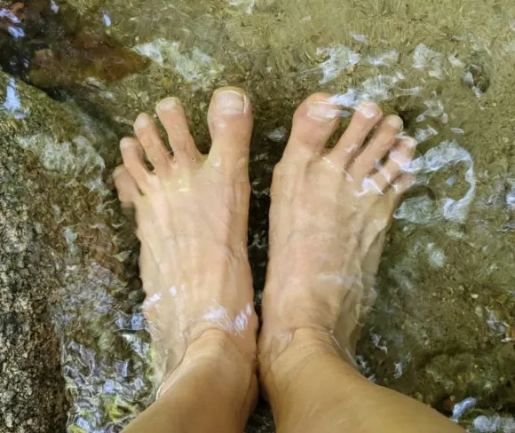 20240512%EF%BC%BF074220.jpg?type=w580