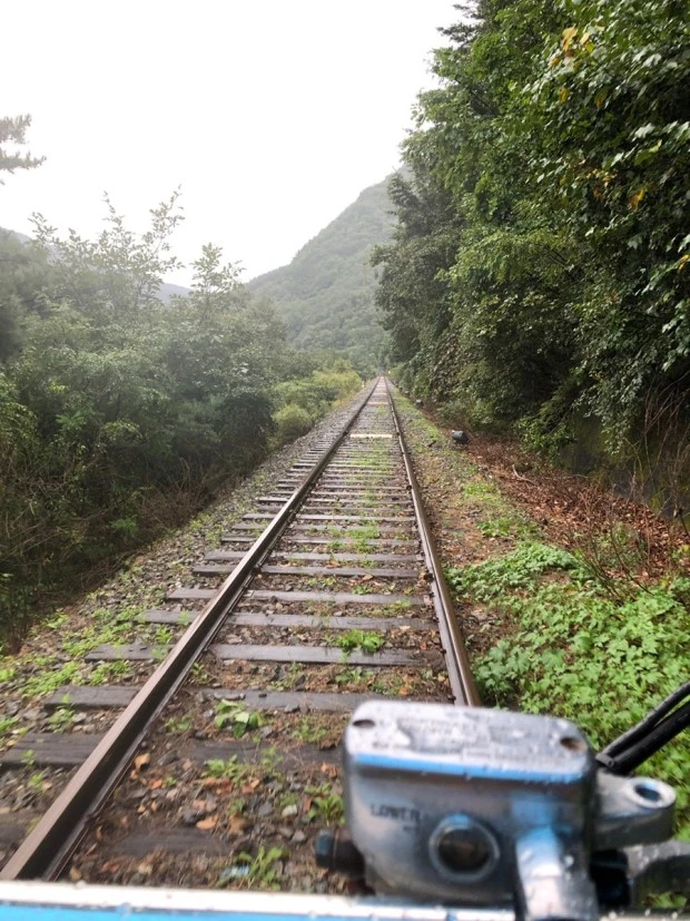 %EB%8B%A4%EC%9A%B4%EB%A1%9C%EB%93%9C_(8).jpg?type=w773