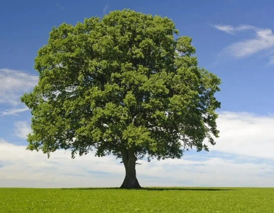 %EB%8B%A4%EC%9A%B4%EB%A1%9C%EB%93%9C_(6).jpg?type=w773