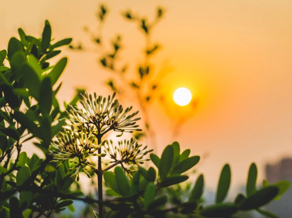 photo-1521834029104-b056ecebbb05.jpg?type=w1