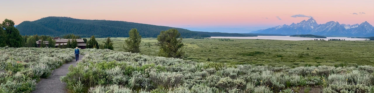 Jackson_Lake_Lodge_at_dawn_from_Lunch_Tree_Hill,_WY.jpg?type=w3840