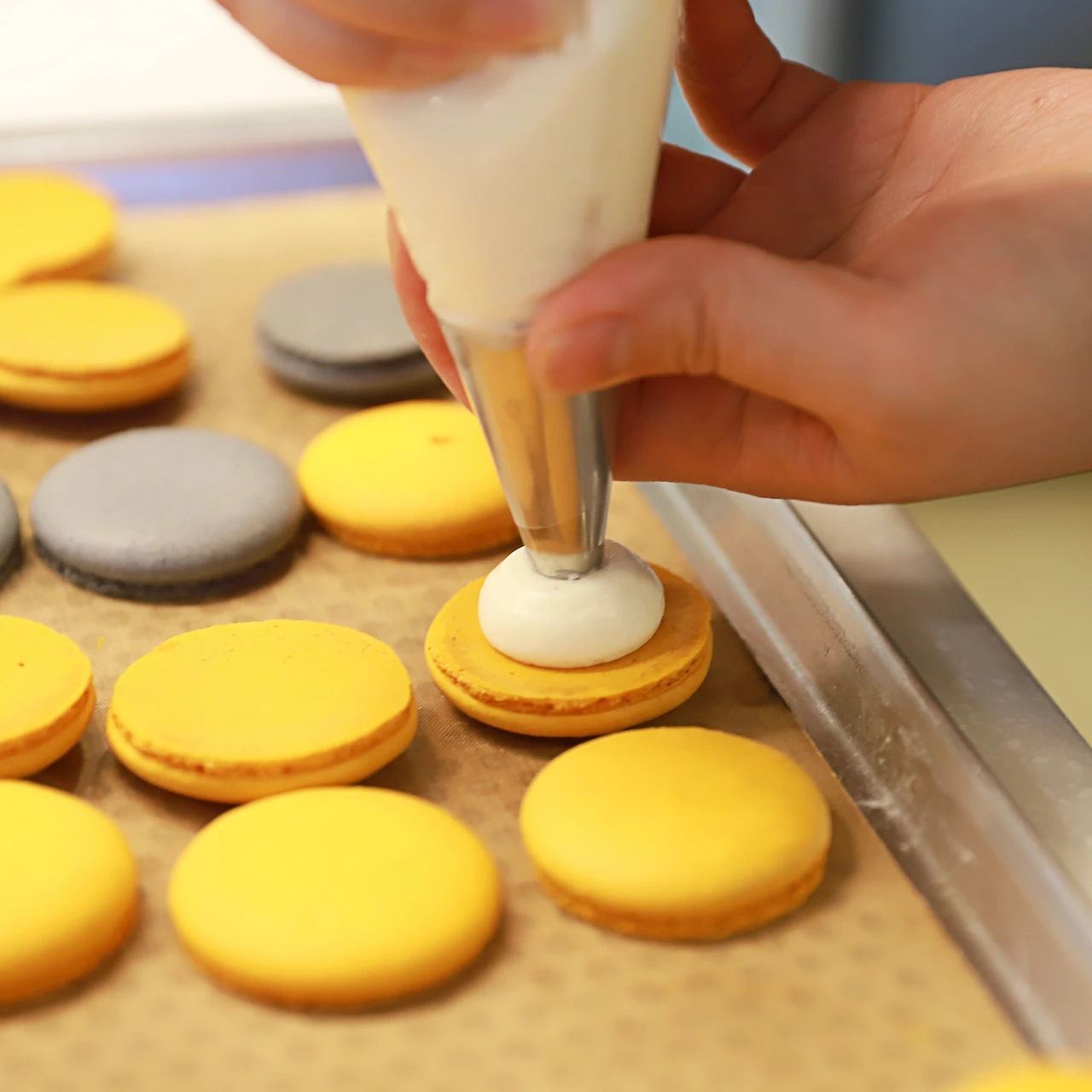 0227_IMG_8451 copy.JPG