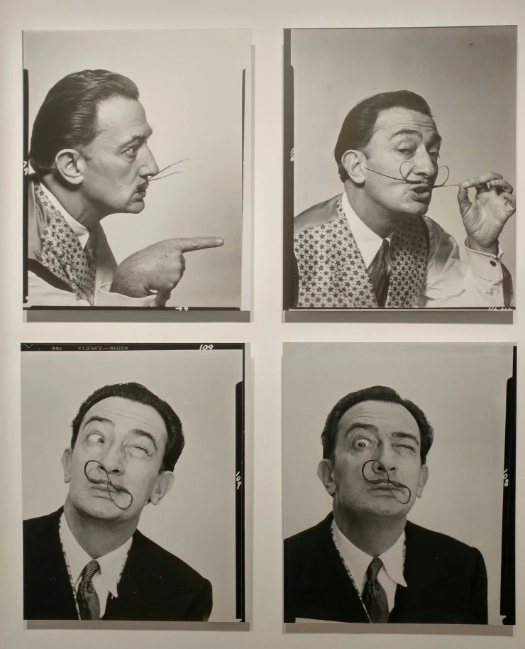 20171107_123348_HDR-1.jpg?type=w2