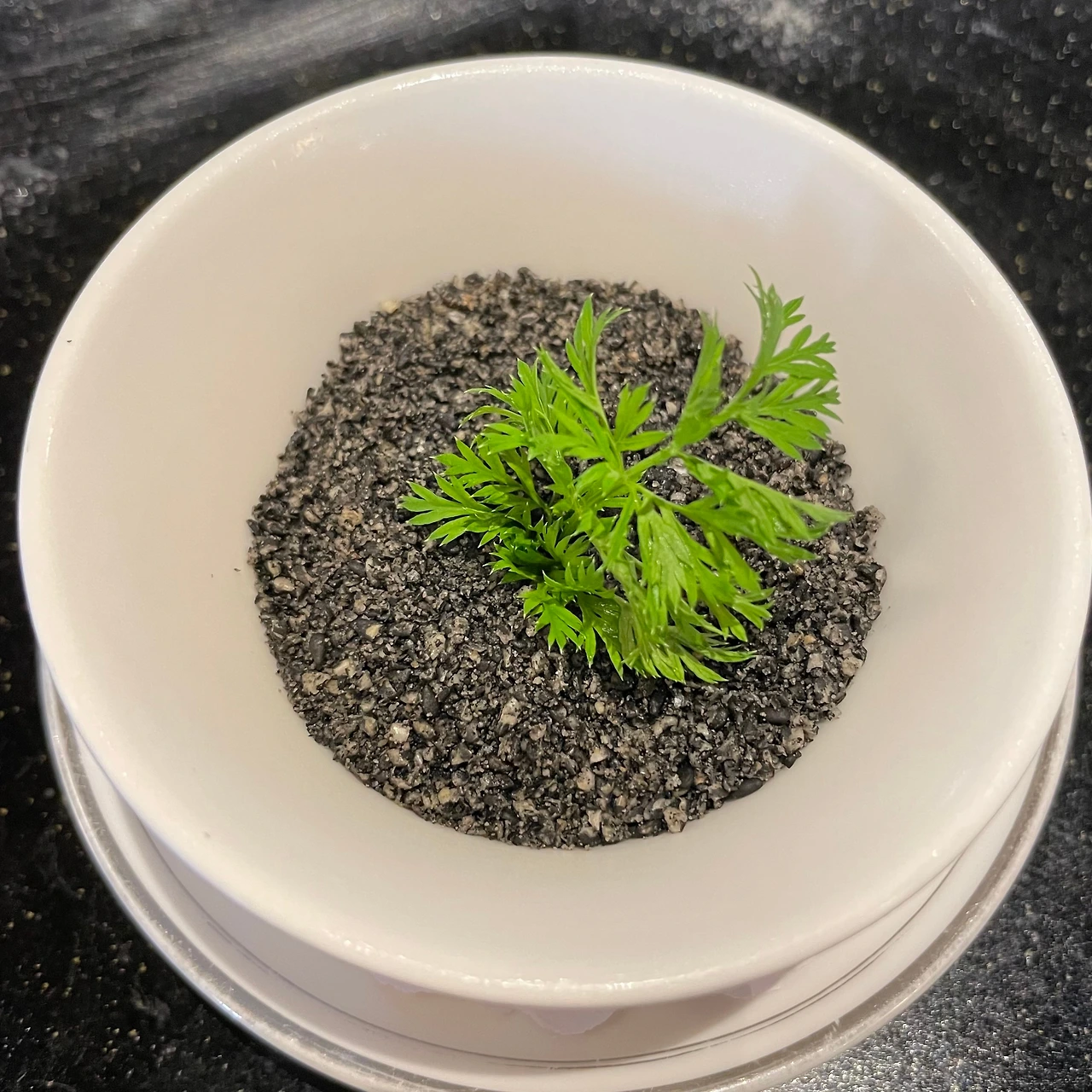 KakaoTalk_Photo_2021-08-21-01-24-00 001.jpeg