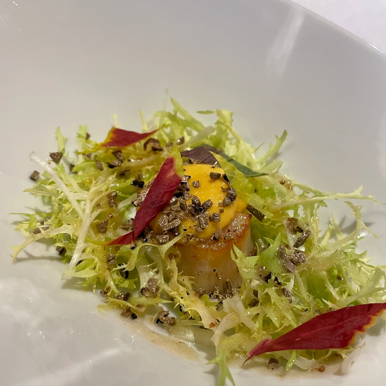 KakaoTalk_Photo_2021-08-21-01-24-02 004.jpeg