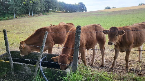 20230903_085724 (1).heic