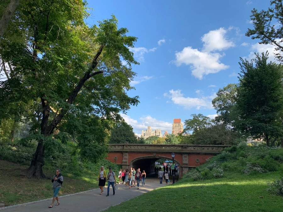 IMG_0161.jpg?type=w1