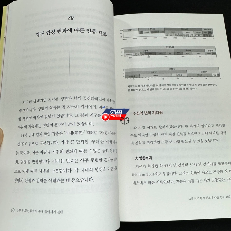 책끌_진화인류학 강의_02.PNG