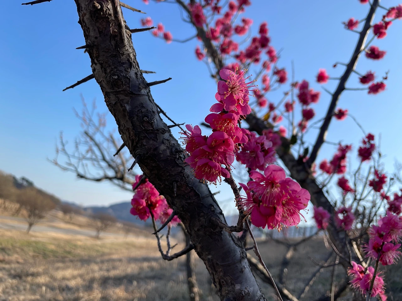 KakaoTalk_Photo_2024-02-22-15-45-40 006.jpeg