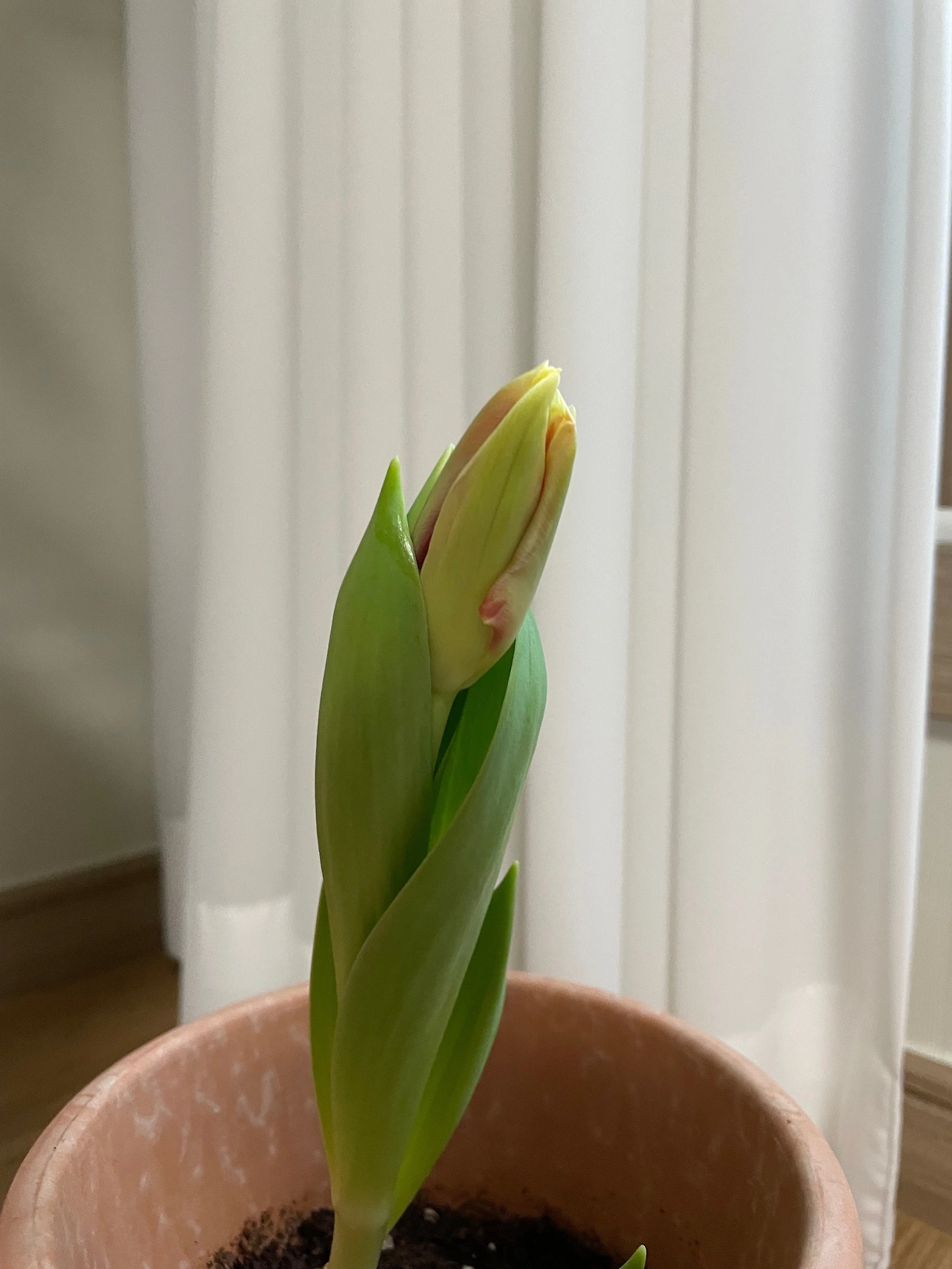 KakaoTalk_Photo_2024-02-22-15-45-39 002.jpeg