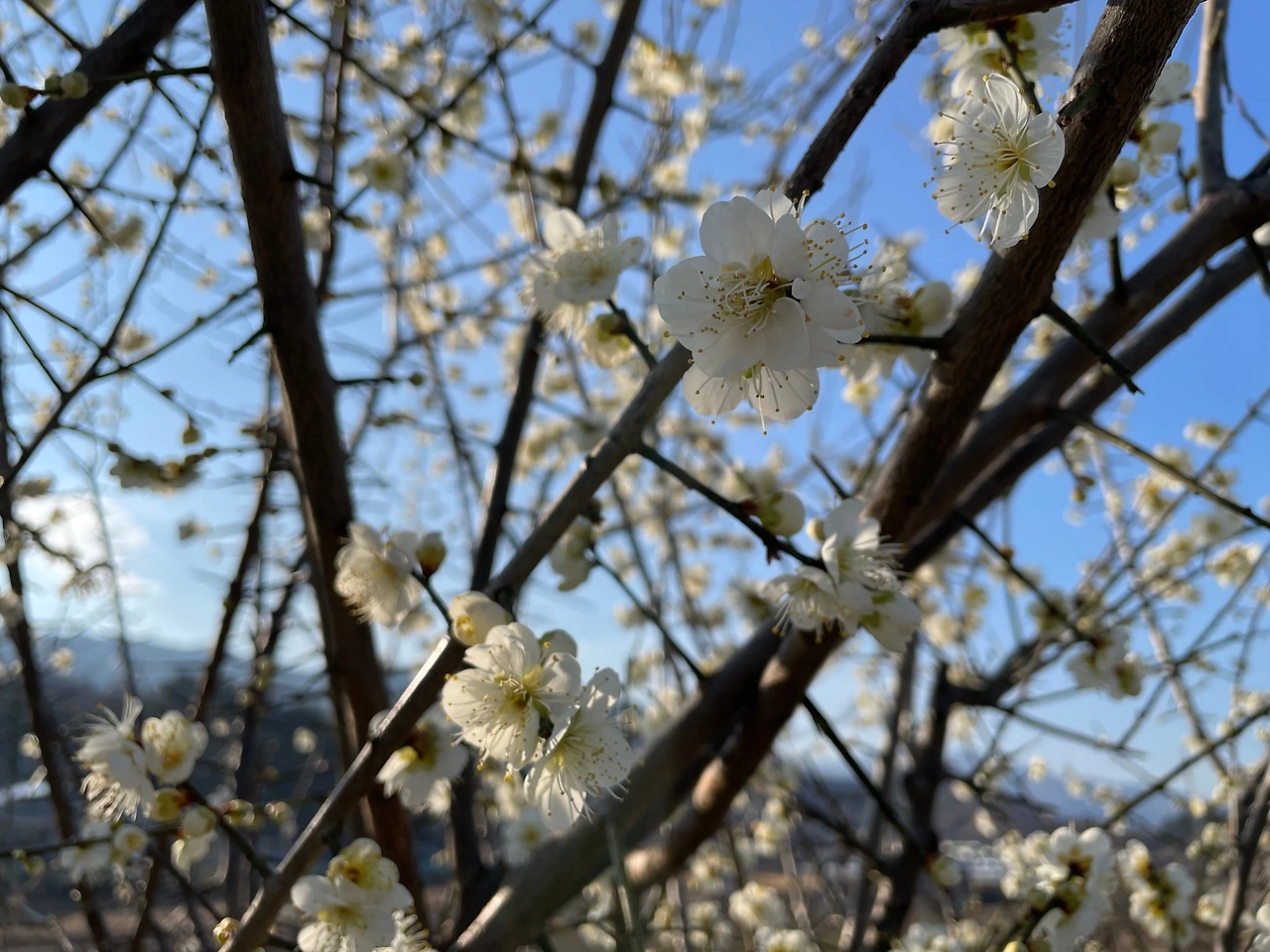 KakaoTalk_Photo_2024-02-22-15-45-40 007.jpeg