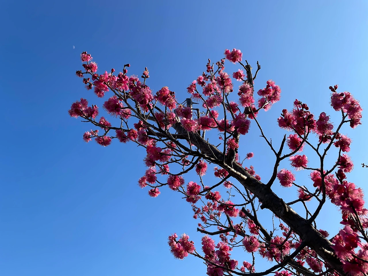 KakaoTalk_Photo_2024-02-22-15-45-39 005.jpeg