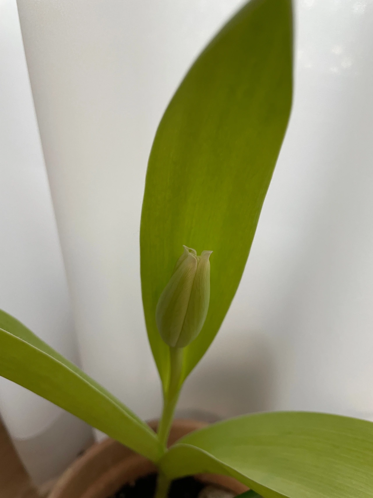 KakaoTalk_Photo_2024-02-22-15-45-39 003.jpeg