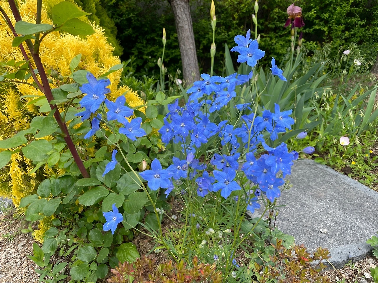 KakaoTalk_Photo_2022-06-18-23-04-14 004.jpeg