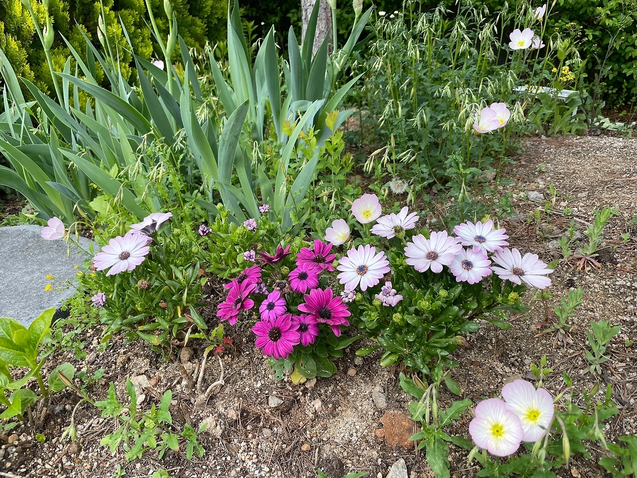 KakaoTalk_Photo_2022-06-18-23-04-14 002.jpeg