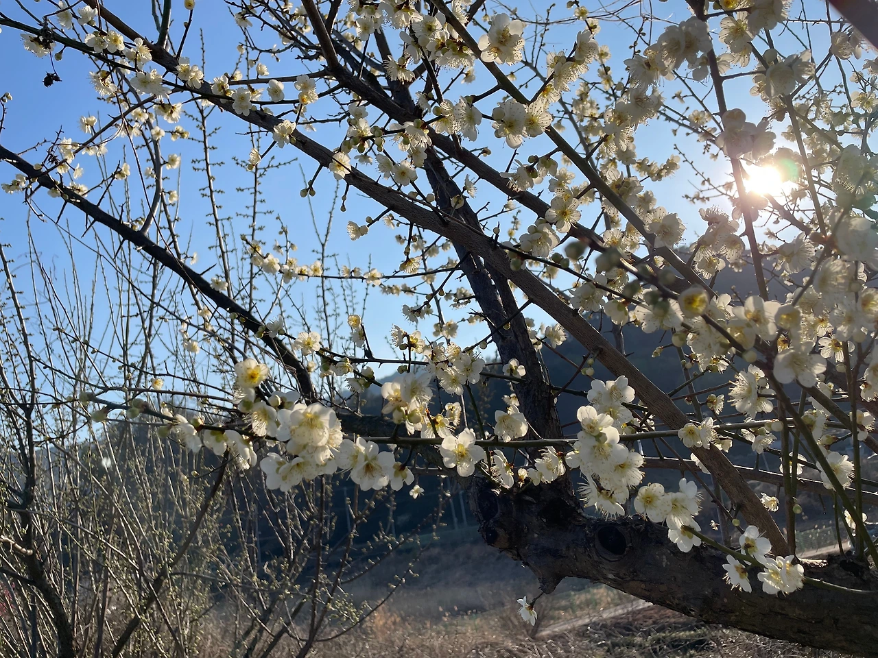 KakaoTalk_Photo_2024-02-22-15-45-40 008.jpeg