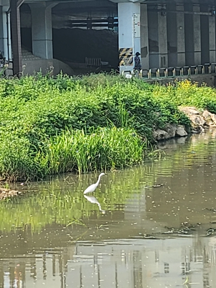 900%EF%BC%BF20250601%EF%BC%BF091021.jpg?type=w1