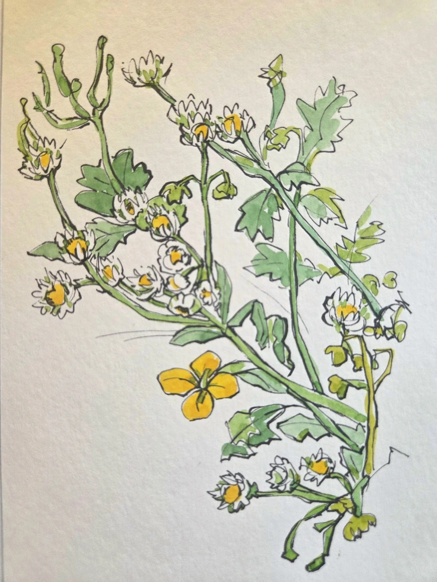 900%EF%BC%BF20250817%EF%BC%BF213220.jpg?type=w1