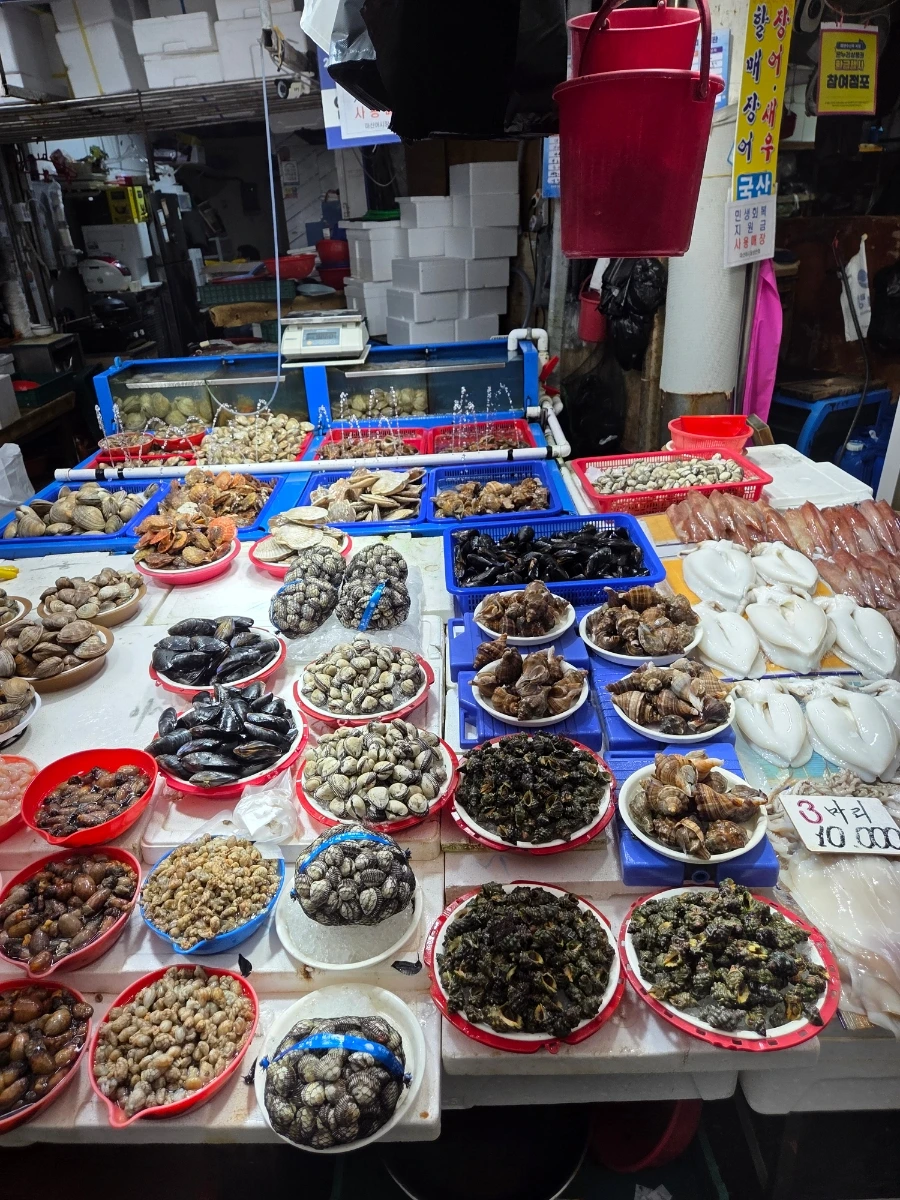 900%EF%BC%BF20250803%EF%BC%BF155508.jpg?type=w1