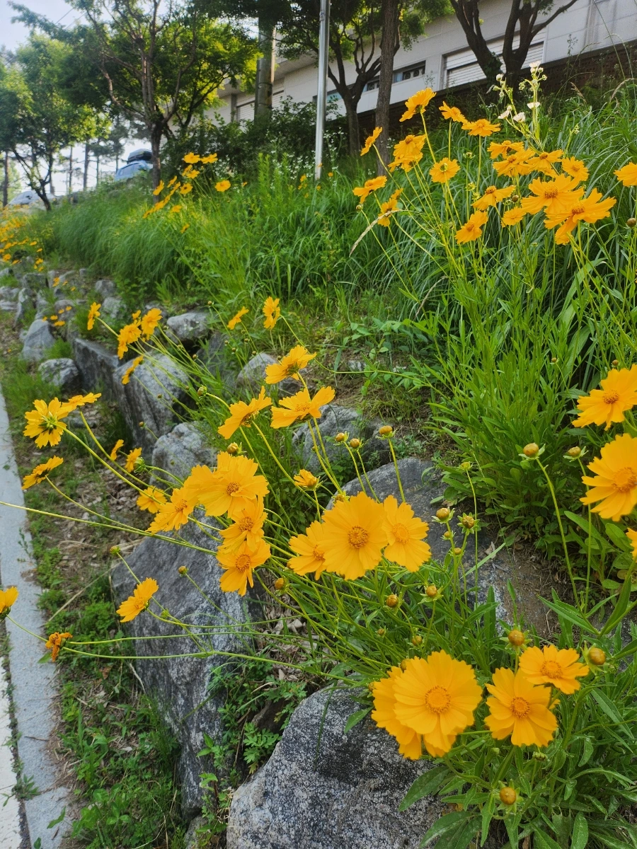 900%EF%BC%BF20250601%EF%BC%BF085521.jpg?type=w1