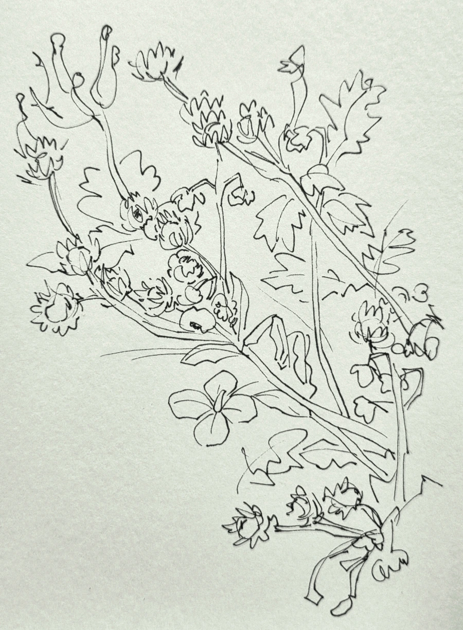 900%EF%BC%BF20250817%EF%BC%BF152035.jpg?type=w1