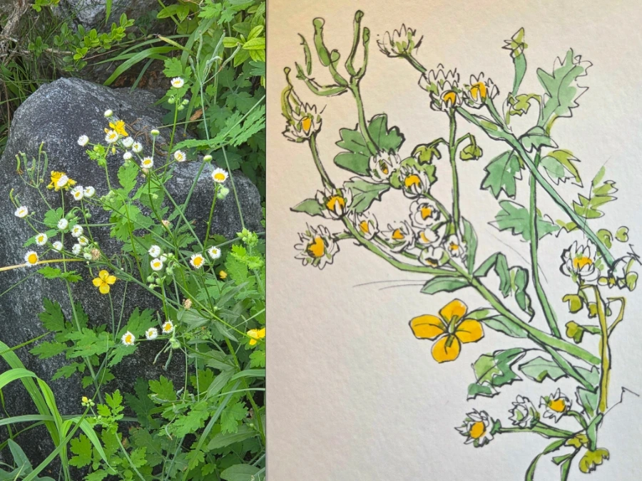 900%EF%BC%BFGridArt%EF%BC%BF20250818%EF%BC%BF013556072.jpg?type=w1