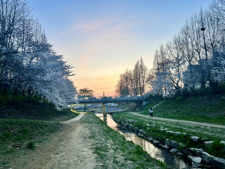 IMG_5753.jpg?type=w1