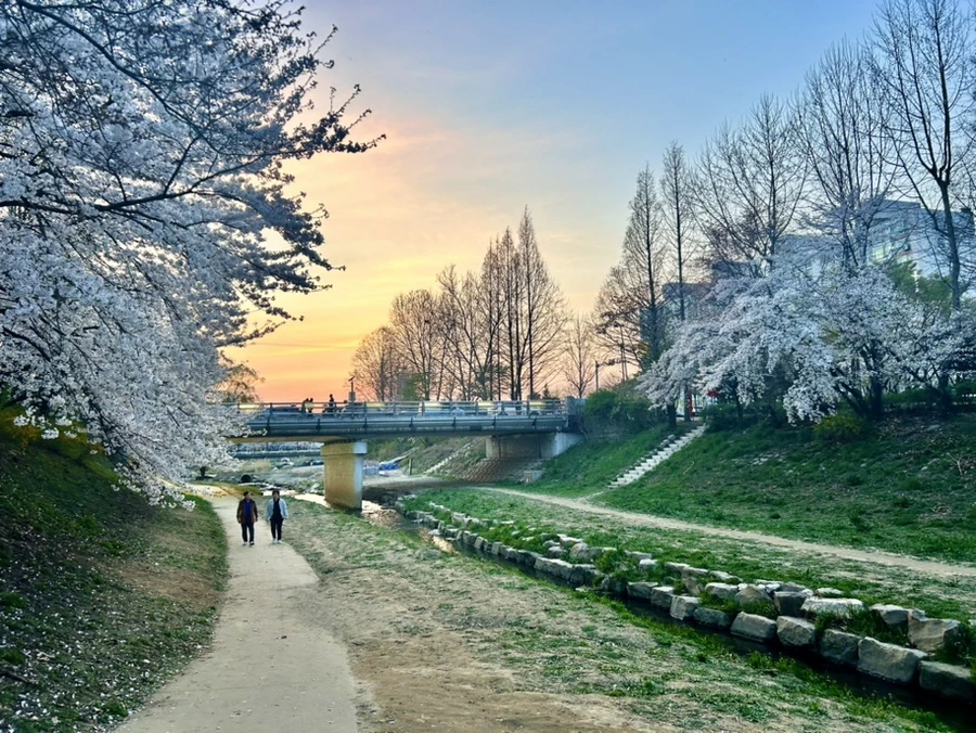 IMG_5751.jpg?type=w1