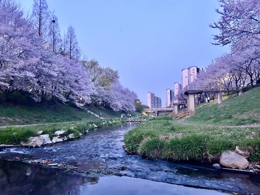 IMG_5761.jpg?type=w1