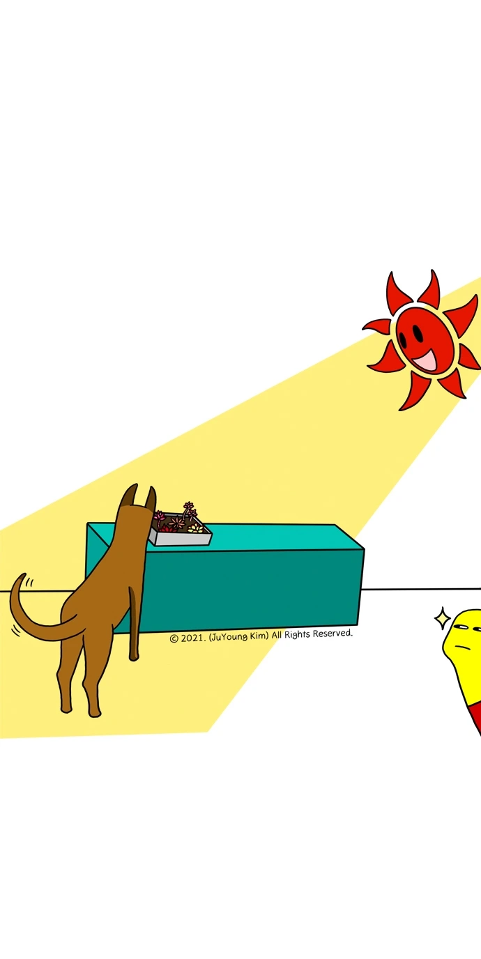 690_025_허전한 그 자리_004.JPG