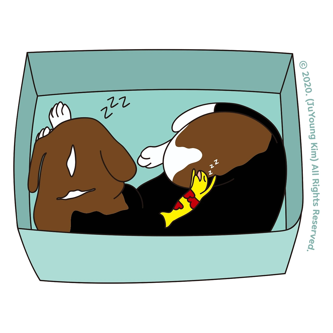 PHX 02_ⓒ 2020. (JuYoung Kim) All Rights Reserved._digital Image.JPG