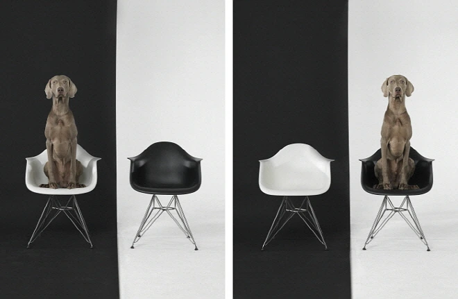 36182_Left_Right_Black_White_2015.jpg?type=w1