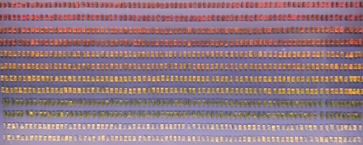 SE-F6845D55-9465-4CCC-BA42-FE7854DF85C5.jpg?type=w1