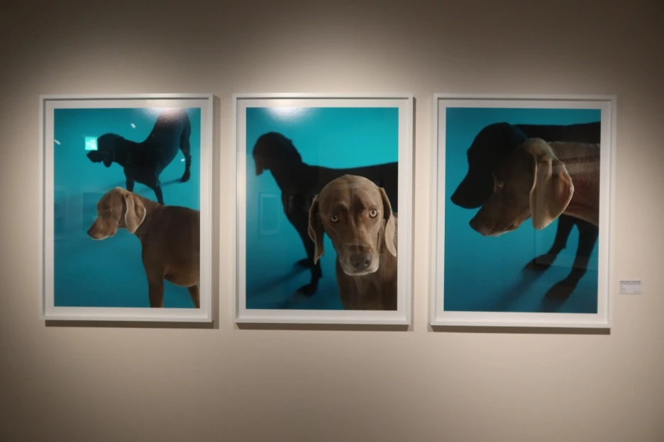 IMG_0766.JPG?type=w1