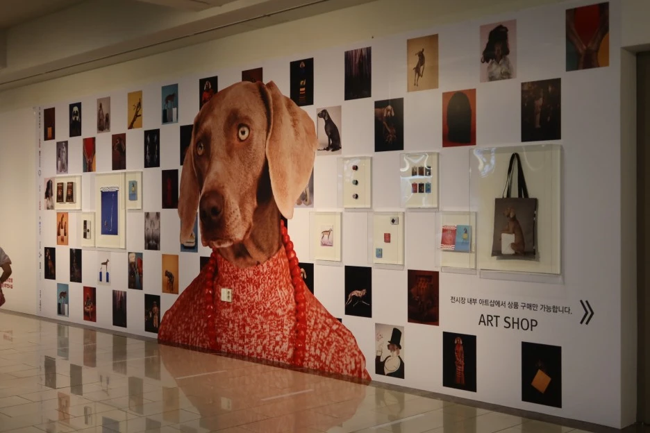 IMG_0684.JPG?type=w1