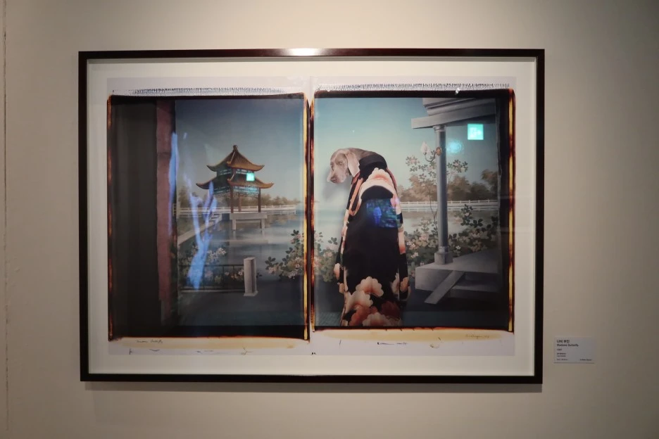 IMG_0808.JPG?type=w1