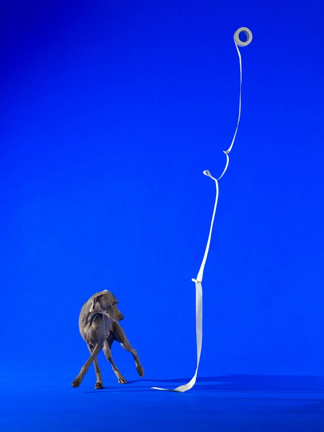 36085_Cursive_Display_2013.jpg?type=w1