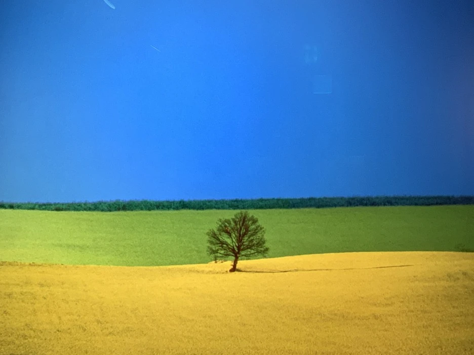 IMG_9946.jpg?type=w1