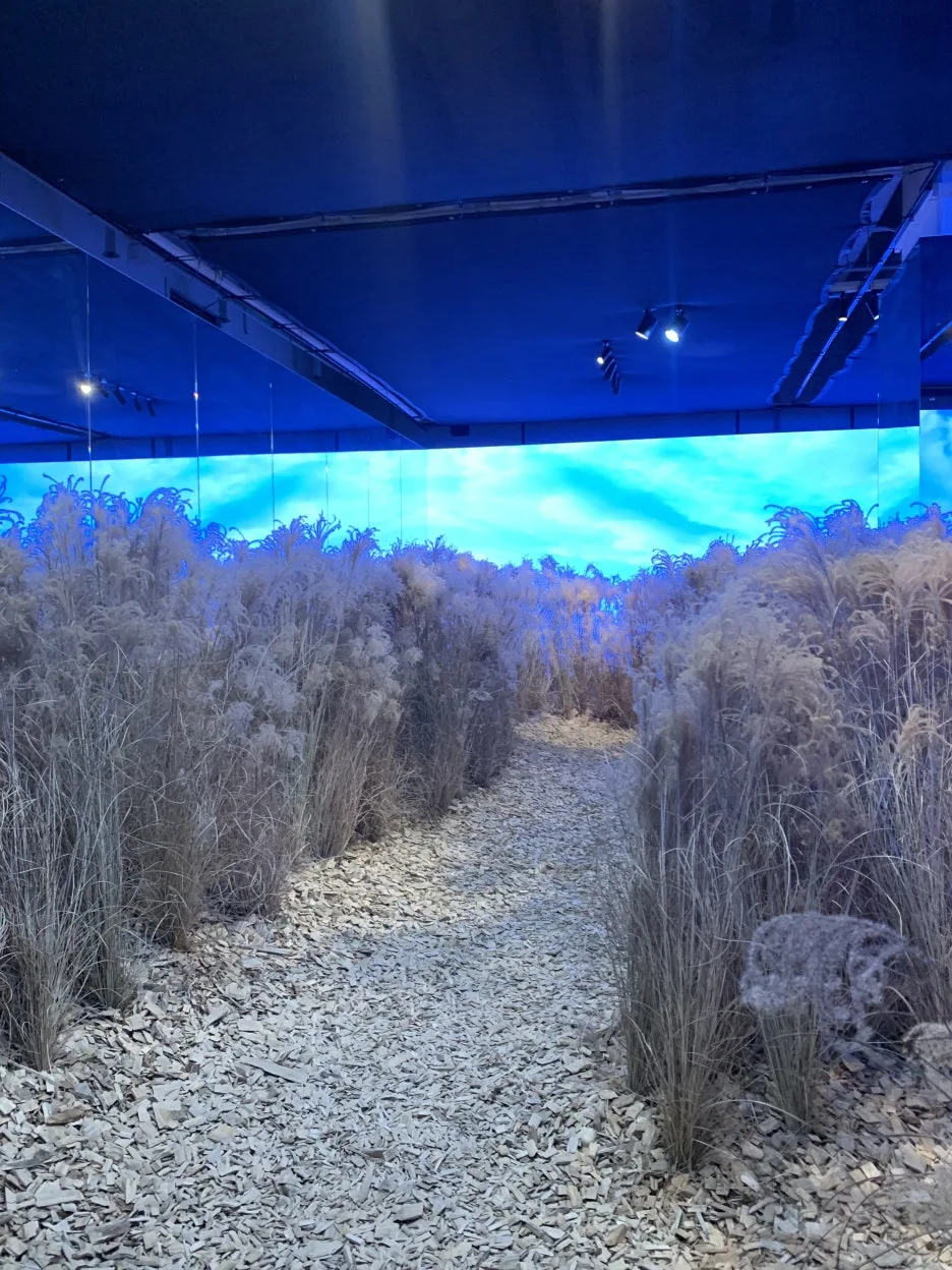 IMG_4833.jpg?type=w1